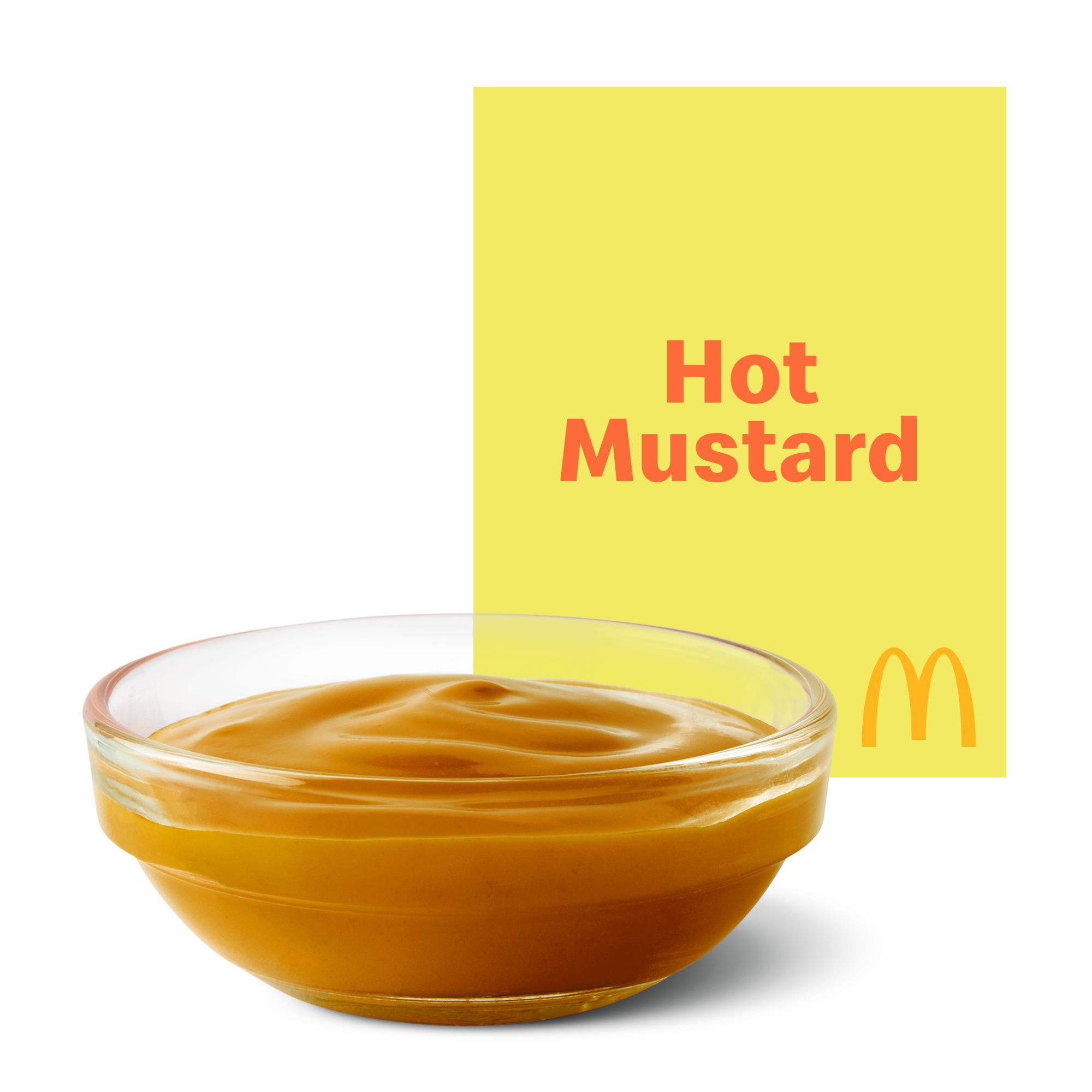 Hot Mustard Dipping Sauce