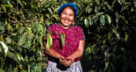 A coffee farmer smiling and holding a bundle of coffee beans