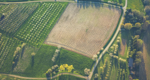arial view of farm field