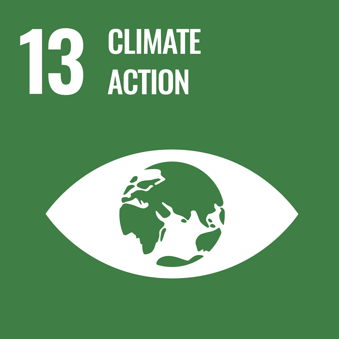 Icon of SDG 13 - Climate action